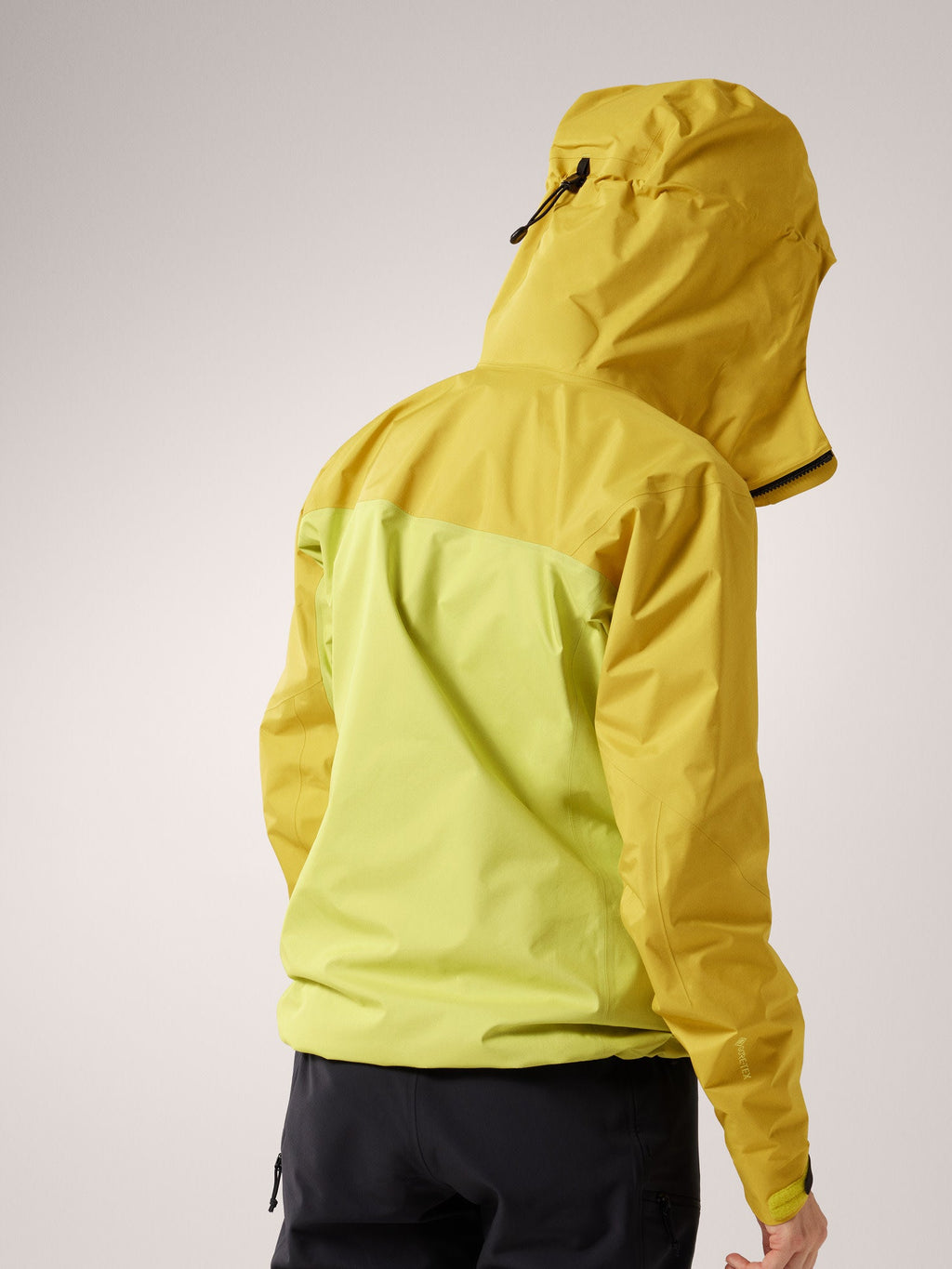 Arc'teryx Alpha Jacket Women's