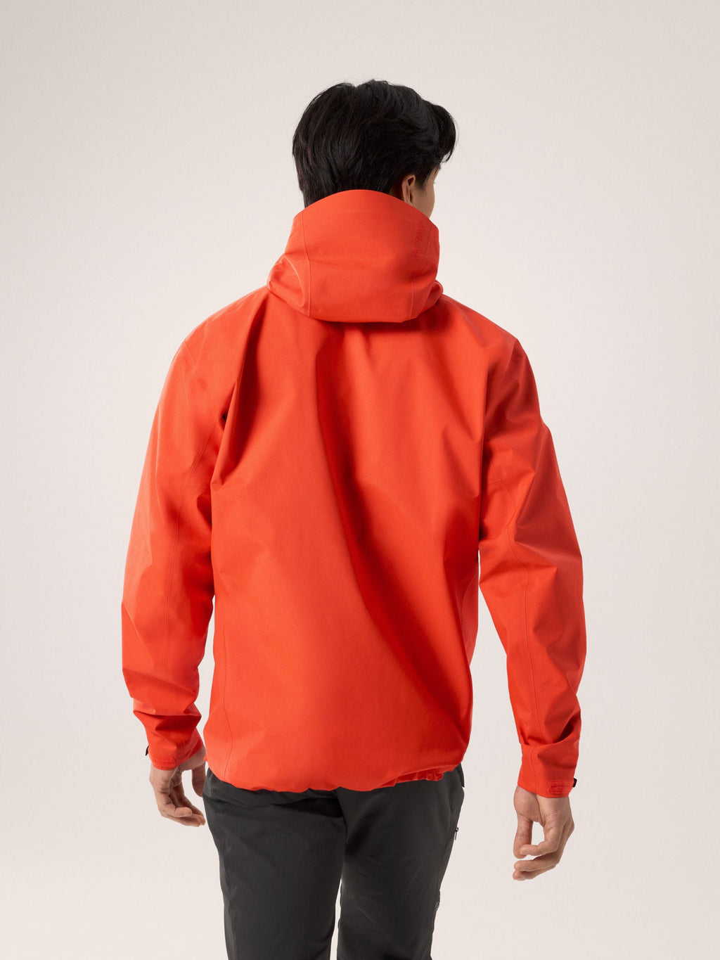 Arc'teryx Beta Jacket Men's